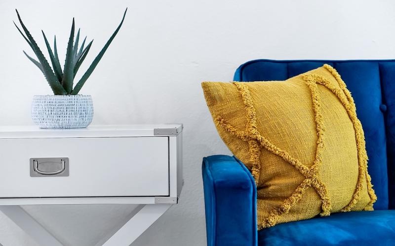 a blue sofa with a yellow pillow and a plant on it